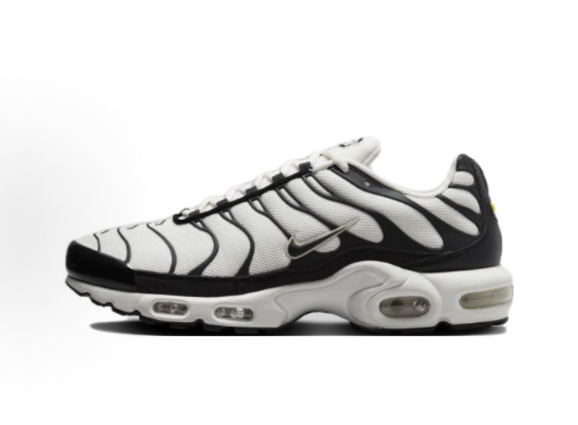 Nike Air Max Plus Black White