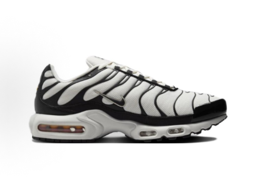 Nike Air Max Plus Black White 2