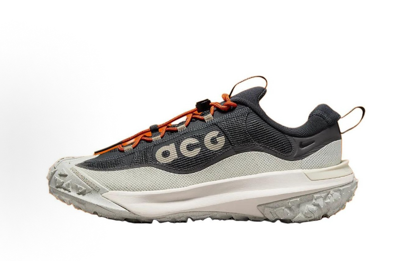 Nike ACG Mountain Fly 2 GT