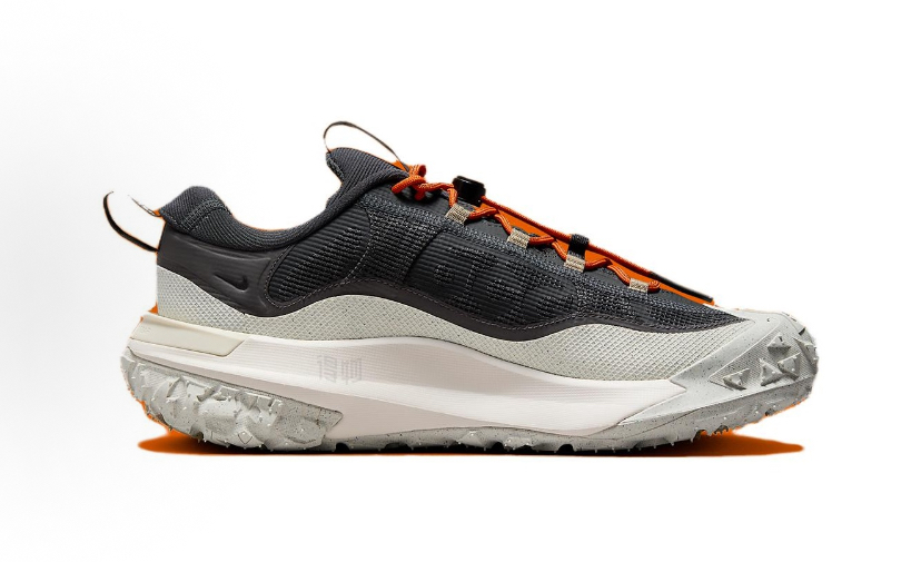 Nike ACG Mountain Fly 2 GT 2